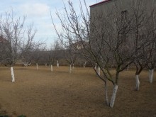 Satılır Torpaq, Xəzər.r, Buzovna-8