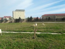 Satılır Torpaq, Xəzər.r, Zaqulba-13
