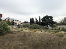Satılır Torpaq, Xəzər.r, Mərdəkan, Koroğlu.m-4