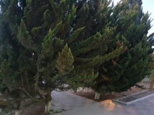 Satılır Həyət evi, Xəzər.r, Mərdəkan, Koroğlu.m-10