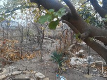 Satılır Həyət evi, Sumqayıt.ş-2