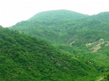 Satılır Həyət evi, İsmayıllı.ş-10