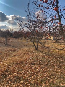 Satılır Həyət evi, Gəncə.ş-6