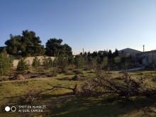 buzovnada satilan villa, -13