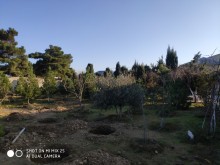 buzovnada satilan villa, -14