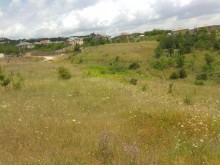 Satılır Torpaq, Şamaxı.ş-5