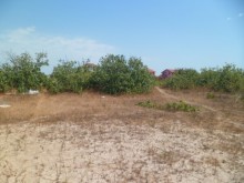 Satılır Torpaq, Binəqədi.r, Binəqədi, Memar Əcəmi.m-1