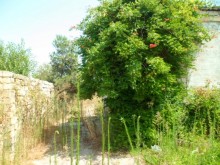 Satılır Torpaq, Binəqədi.r, Binəqədi, Memar Əcəmi.m-4