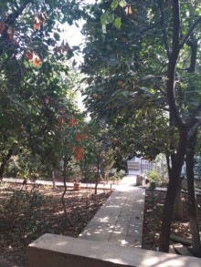 Satılır Həyət evi, Binəqədi.r, Sulutəpə-9