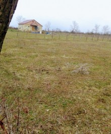 Satılır Torpaq, Abşeron.r, Novxanı-4