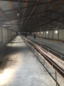 Satılır Obyekt, Xaçmaz.ş-15