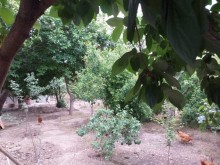 Satılır Həyət evi, Suraxanı.r, Köhnə Günəşli-4