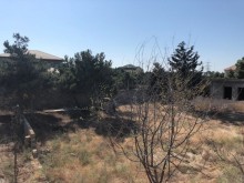 Satılır Torpaq, Xəzər.r, Mərdəkan, Koroğlu.m-3