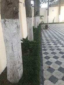 Novxanida aglayli villa almaq, -8