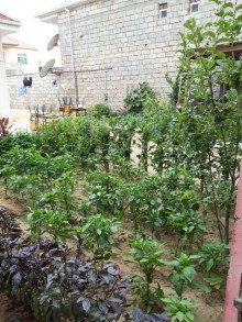 Satılır Həyət evi, Sabunçu.r, Zabrat-7