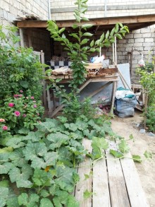 Satılır Həyət evi, Sabunçu.r, Zabrat-9