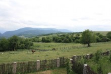 Satılır Torpaq, Quba.ş-14