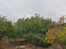 Satılır Torpaq, Xəzər.r, Şüvəlan, Koroğlu.m-3