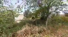 Satılır Həyət evi, Quba.ş-1