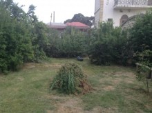 Satılır Torpaq, Binəqədi.r, Rəsulzadə, Azadlıq.m-11