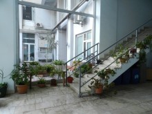 Satılır Yeni Tikili, Nəsimi.r, 28 May.m-4