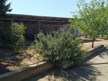 Satılır Torpaq, Sabunçu.r, Albalı, Koroğlu.m-6