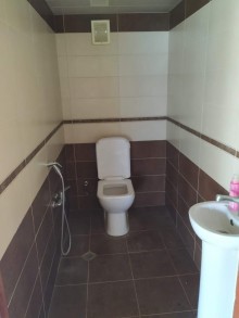Satılır Torpaq, Sabunçu.r, Albalı, Koroğlu.m-12