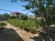 Satılır Torpaq, Sabunçu.r, Albalı, Koroğlu.m-14