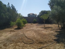 Satılır Torpaq, Sabunçu.r, Albalı, Koroğlu.m-15