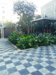 Satılır Həyət evi, Səbail.r, Badamdar-16