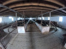 Satılır Obyekt, Şamaxı.ş-12