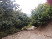 Satılır Həyət evi, Qəbələ.ş-5
