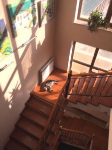 Satılır Villa, Sabunçu.r, Nardaran-7