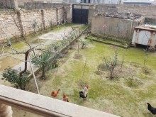Satılır Həyət evi, Xəzər.r, Mərdəkan, Koroğlu.m-9