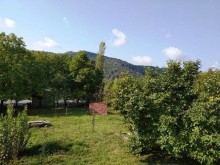 Satılır Həyət evi, Qəbələ.ş-20