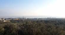 Satılır Həyət evi, Suraxanı.r, Zığ-1