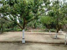Satılır Həyət evi, Xəzər.r, Buzovna-2
