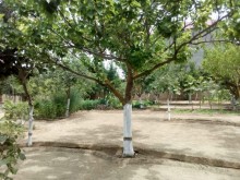 Satılır Həyət evi, Xəzər.r, Buzovna-5