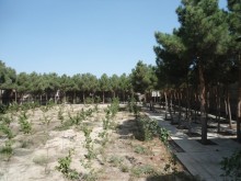 Satılır Həyət evi, Xəzər.r, Şüvəlan-5