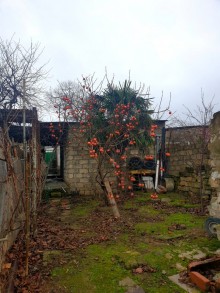 Satılır Həyət evi, Sabunçu.r, Bakıxanov-10