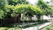 Satılır Həyət evi, Qəbələ.ş-5