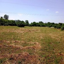 Satılır Torpaq, Qəbələ.ş-13