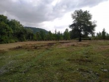 Satılır Torpaq, Qəbələ.ş-6