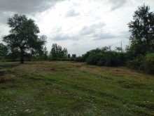 Satılır Torpaq, Qəbələ.ş-8
