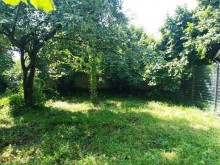 Satılır Torpaq, Qəbələ.ş-1