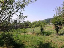 Satılır Torpaq, Qəbələ.ş-3
