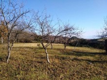 Satılır Torpaq, Qəbələ.ş-2