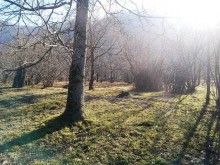Satılır Torpaq, Qəbələ.ş-7