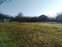 Satılır Torpaq, Qəbələ.ş-7