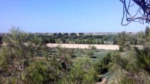 Satılır Torpaq, Sabunçu.r, Maştağa-9
